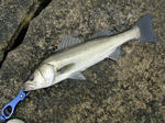 2012060205.jpg