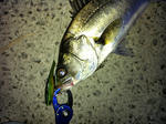 2012071502.jpg