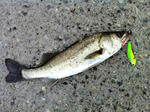 2012071503.jpg