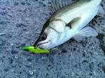 2012071505.jpg