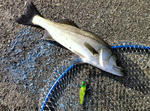 2012071601.jpg