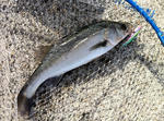 2012071602.jpg