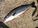 2012071603.jpg