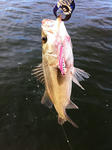 2012071604.jpg