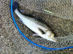 2012072101.jpg