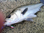 2012072102.jpg