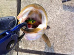 2012081801.jpg