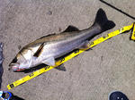 2012081804.jpg
