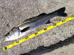 2012081903.jpg