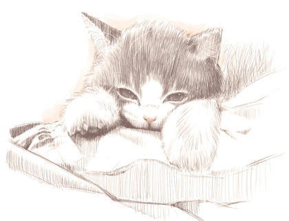 20130331-練習・模写　ねこ.jpeg