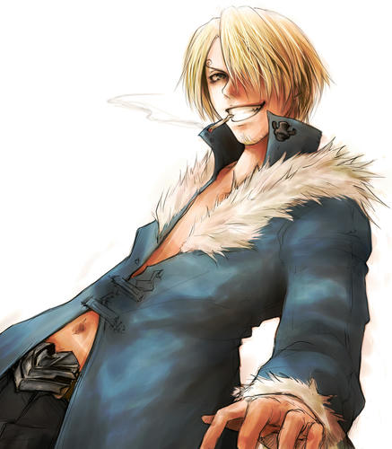 20100106-sanji.jpg