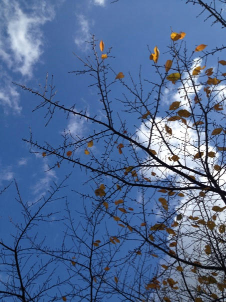 空