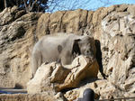 2008_1226ikkaime0022.JPG