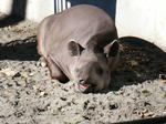 2008_1226ikkaime0044.JPG