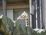 BLOG2008_1226ikkaime0054.JPG