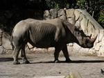 BLOG2008_1226ikkaime0056.JPG