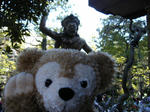 2009_03162kaime0008.JPG