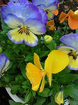 200904051348000.jpg