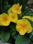 200904051347000.jpg