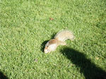 2009_10012kaime0115.JPG