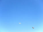 2009_10012kaime0175.JPG