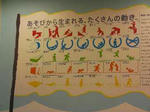SANY03071.jpg
