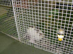 SANY0904.JPG