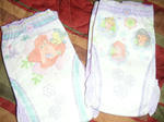 PICT0206.JPG