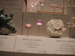 PICT0242.JPG
