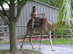SANY00971.jpg