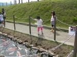 SANY1047.JPG
