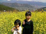 SANY1070.JPG