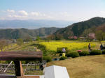 SANY1085.JPG