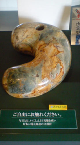 20081020103839.jpg