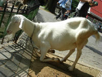 DSC03558.JPG