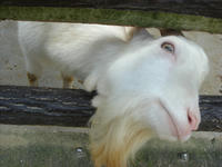 DSC03590.JPG