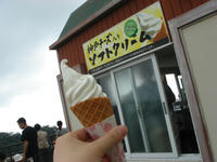 DSC03534.JPG