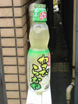 SN3E0044.JPG