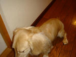 82f4a262.JPG