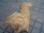 91d54083.JPG