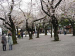 a6445d17.JPG