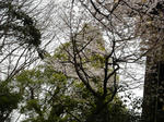 DSC09985.JPG