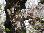 DSC09987.JPG