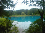 SN3E0229.JPG