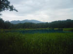 SN3E0230.JPG