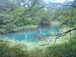 SN3E0223.JPG