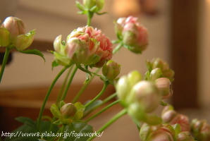 090606h_f02.jpg