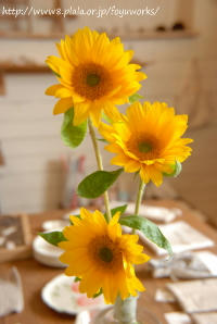 090704h_f02.jpg