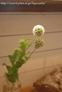 090704h_f03.jpg