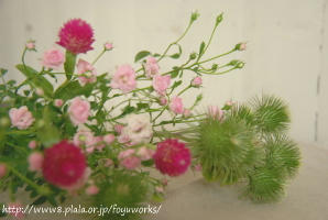 090801h_f01.jpg
